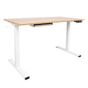 Desk ERGO with 1 motor 120x60xH73-121cm, white/oak