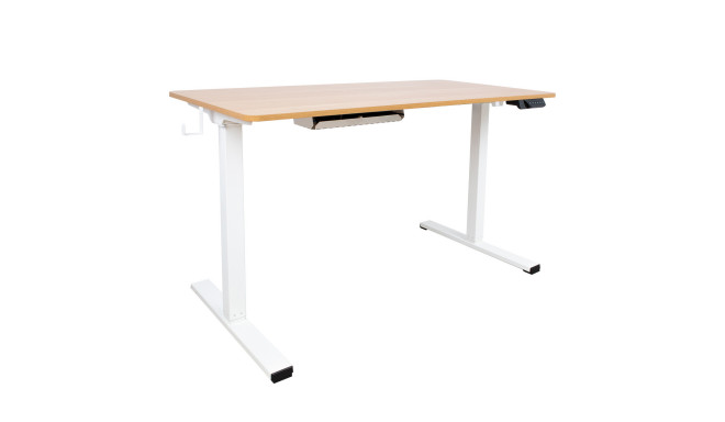 Desk ERGO with 1 motor 120x60xH73-121cm, white/oak