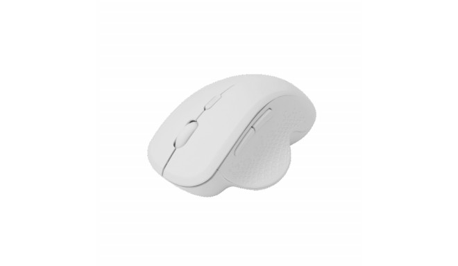 Sbox WM-549 White