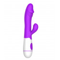 Erolab Dodger G-spot & Clitoral Massager Purple (ZYCD01p)