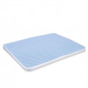 Cat Litter Tray Mat Blue 60 x 45 x 1,5 cm (12 Units)