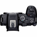 Canon EOS R7 + RF-S 18-150mm F3.5-6.3 IS STM(F/3.5-6.3 IS STM) + Mount Adapter EF-EOS R