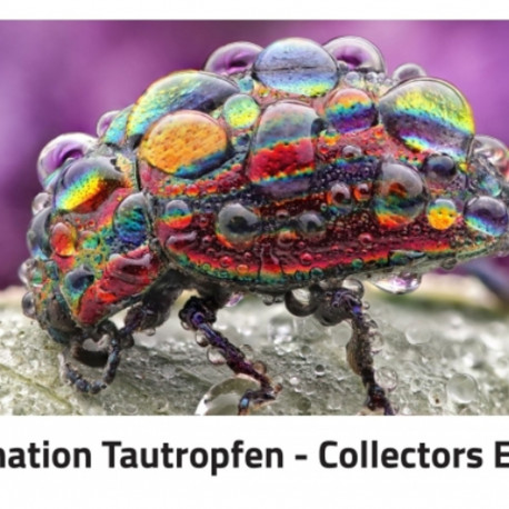 Alexander Mett kalender Faszination Tautropfen