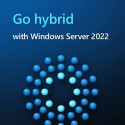 Microsoft Windows Server 2022 CAL , server software (5 users)