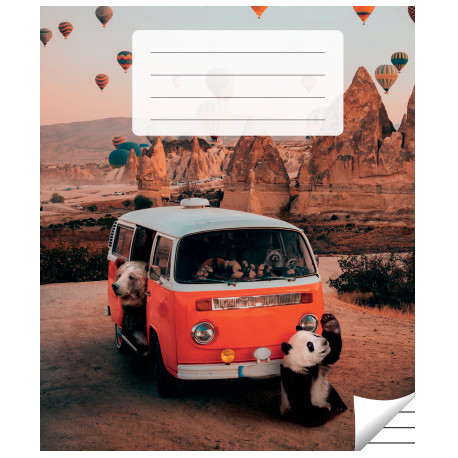 Kaustik jooneline, 36 lehte