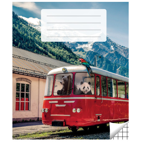 Kaustik 36 lehte, ruuduline (5 tk)