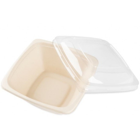 BITTNER Ühekordsed kandilised toidukarbid, 470 ml, kreemjas, suhkruroog, 50 tk