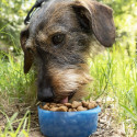 Kaks-ühes pudel vee- ja toiduanumatega lemmikloomadele Pettap InnovaGoods