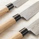 Set of Knives with Professional Carry Case Damas·Q InnovaGoods