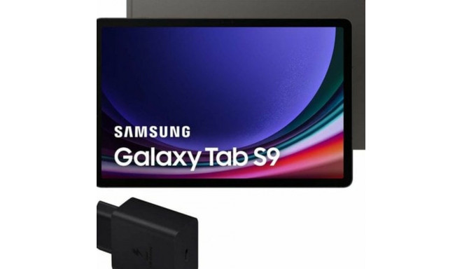 Tahvelarvuti Samsung Galaxy Tab S9 11" 256 GB Hall
