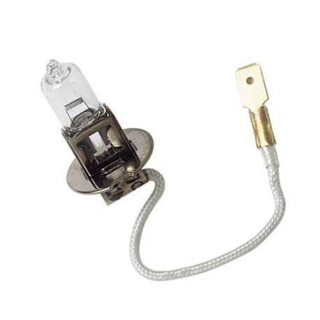 H3 55W