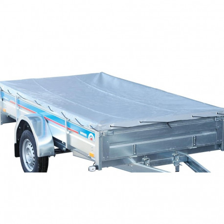 Tasapinnaline tent CS300-L 328x182cm