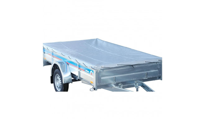 Tasapinnaline tent CS300-L  328x182cm