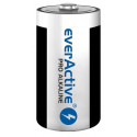 Alkaline batteries everActive Pro Alkaline LR20 D - blister card 2 pieces