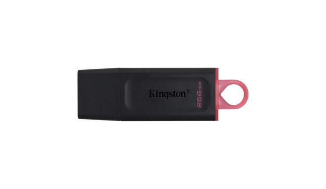 Kingston mälupulk 256GB USB 3.2 (DTX/256GB)