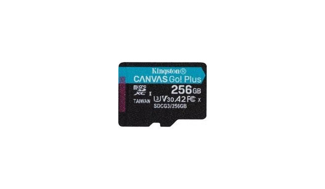 Kingston memory card microSDXC 256GB UHS-I (SDCG3/256GBSP)