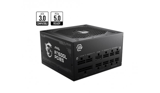 MSI toiteplokk 750W 80 Plus Gold PFC Active MAGA750GLPCIE5