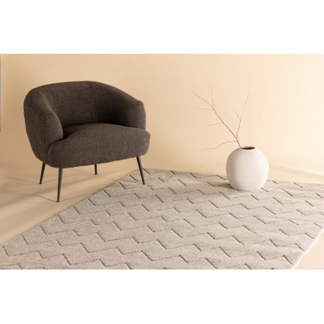 Vaip Fia 290x200 cm, pruun