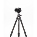 Benro tripod Tortoise 24C+GX30