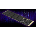 Lexar SSD 256GB 1300/3000 NM620 M.2