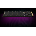 Lexar SSD 256GB 1300/3000 NM620 M.2