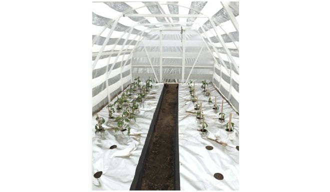 Dengta folija 90 g/m², 1,6 х 50 m