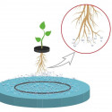 Aeroponic system DWC Clone 84 Platinium