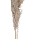 4Living Pampas natural 110 cm 3 pcs