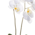 4Living orchidėja vazone 59 cm