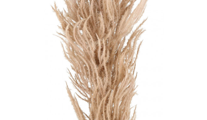 Pamparohi 82 cm, pruun