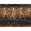 Watering hose AQUA-DROP 1/2" - 25m