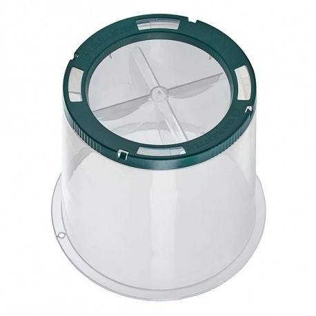 Mini-SUNNY forcing cloche