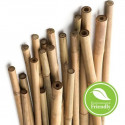 Bambooo pole/stick 120cm 12/14mm