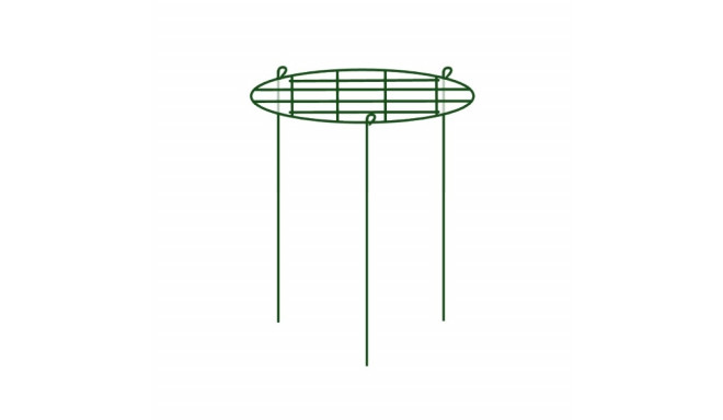 Taimede (pojengide) ringtugi 40cm läbimõõt x 60cm kõrgus