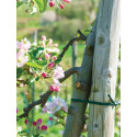 Flexible soft tie for plants 3,9 x 30m