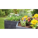 ERGO Raised bed Wood Module XL