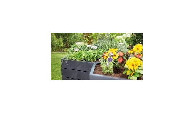 ERGO Raised bed Wood Module XL