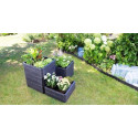 ERGO Quadro raised bed 60 x 60cm S