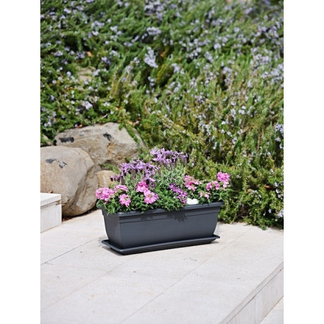 Taimepott Birka 60 x 17 x k16cm, tuhk