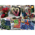 Ravensburger pusle 1000 tk Lillepildid