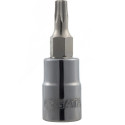 1/4" torx padrun T-25