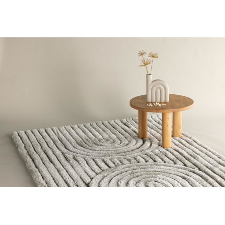 Vaip Niklas 230x160 cm, hall