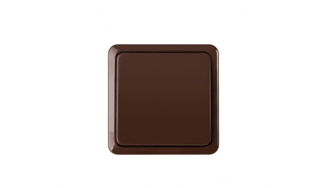 SWITCH P110-010V TOP CL1 BROWN SL+