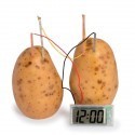 Potato Clock Experiment 