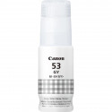 Canon GL-53, hall - Tindipudel