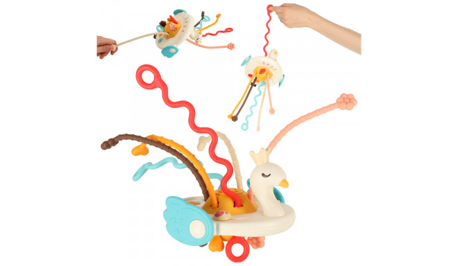 Montessori sensoorsete hammustusmänguasjadega mänguasi beebidele luikene