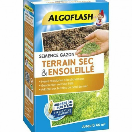 Seemned Algoflash SEMSOL1