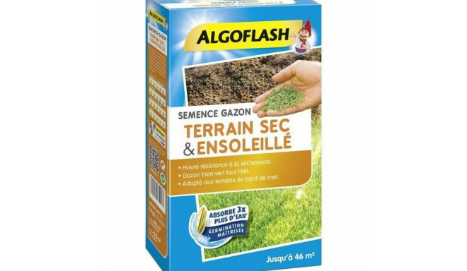Seemned Algoflash SEMSOL1