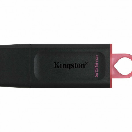 USB stick Kingston DTX/256GB Keychain Black 256 GB