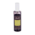 Gaisa Atsvaidzinātāja Aerosols Kaļķi Ingvers 70 ml (12 gb.)